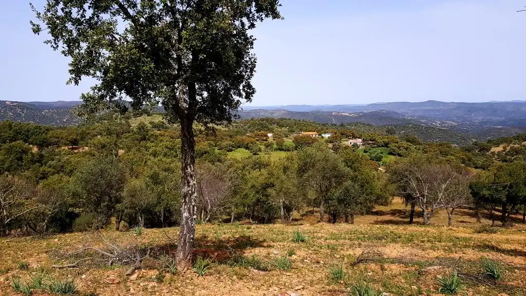 Terrenos y solares en venta en Extramuros Diseminados 5, imagen 11