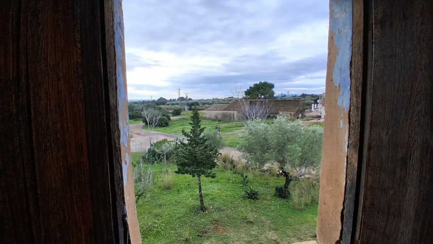 Jardín de Finca rústica en venta en L'Ampolla