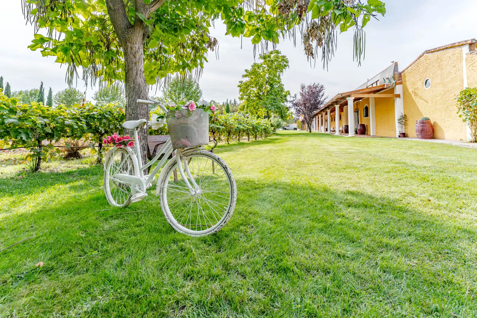 Jardín de Finca rústica en venta en Laguna de Duero con Aire acondicionado, Calefacción y Jardín privado