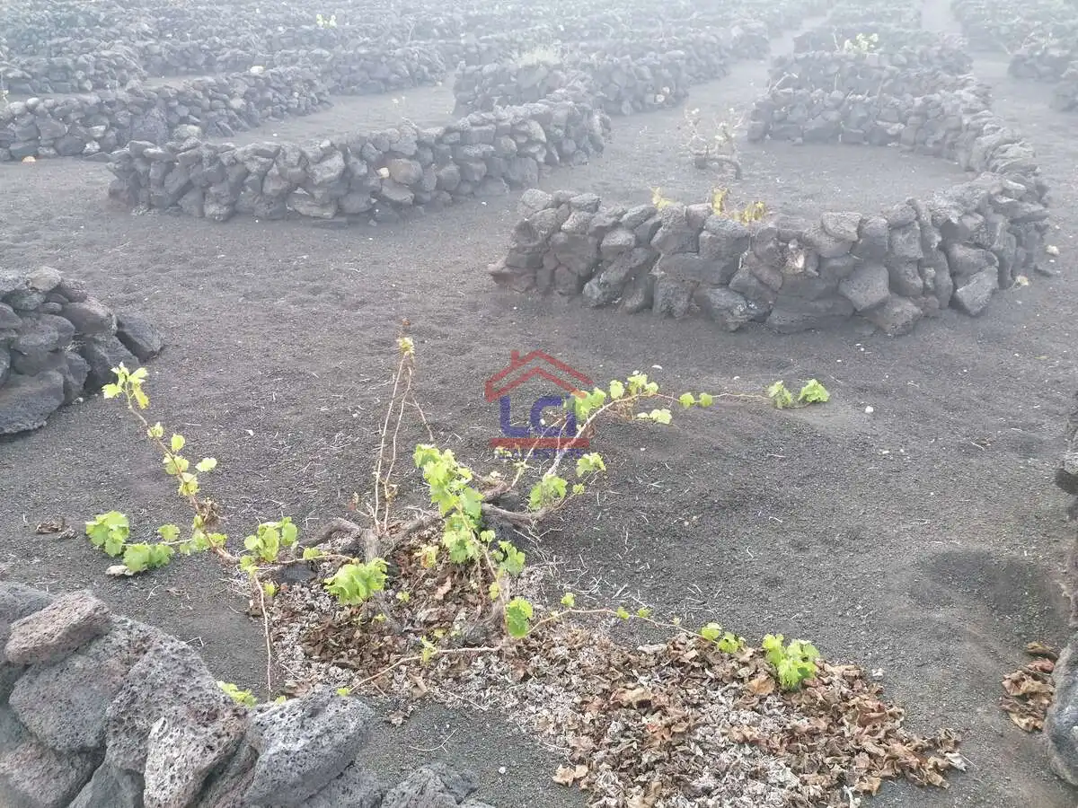 Terreno en venta en Yaiza