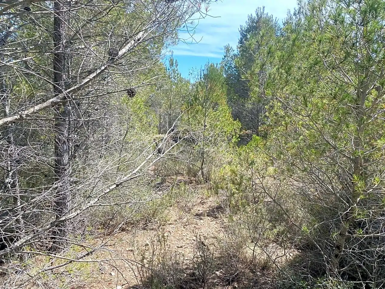 Residential zum Verkauf in Carrratillana, Roques Daurades - L'Estany
