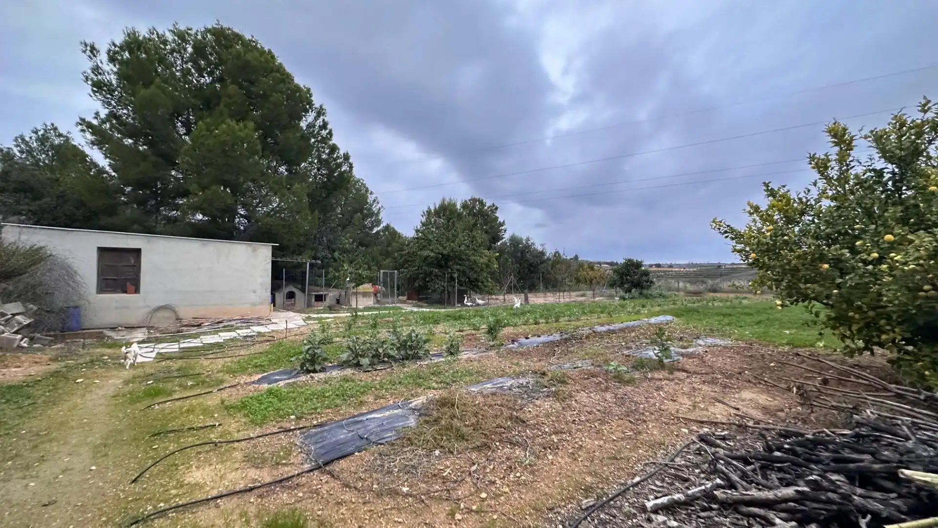 Casa o chalet en venta en Tous con Jardín privado, Terraza y Trastero