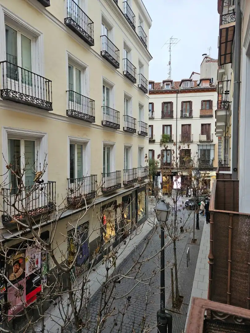 Piso de alquiler en Calle de Hernán Cortés, Justicia - Chueca