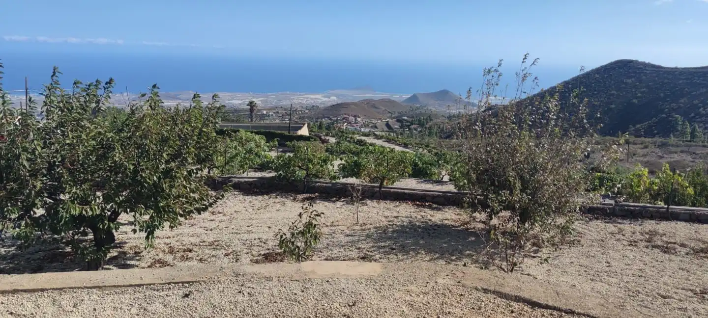 Houses for sale in Calle Buen Viaje, Cruz de Tea