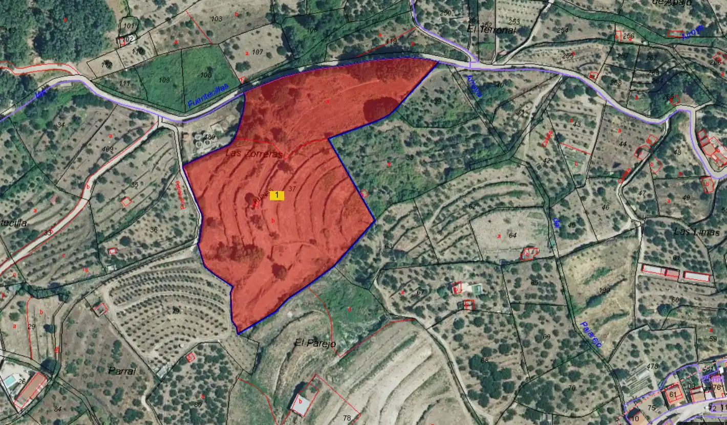 Land for sale in Casas del Castañar