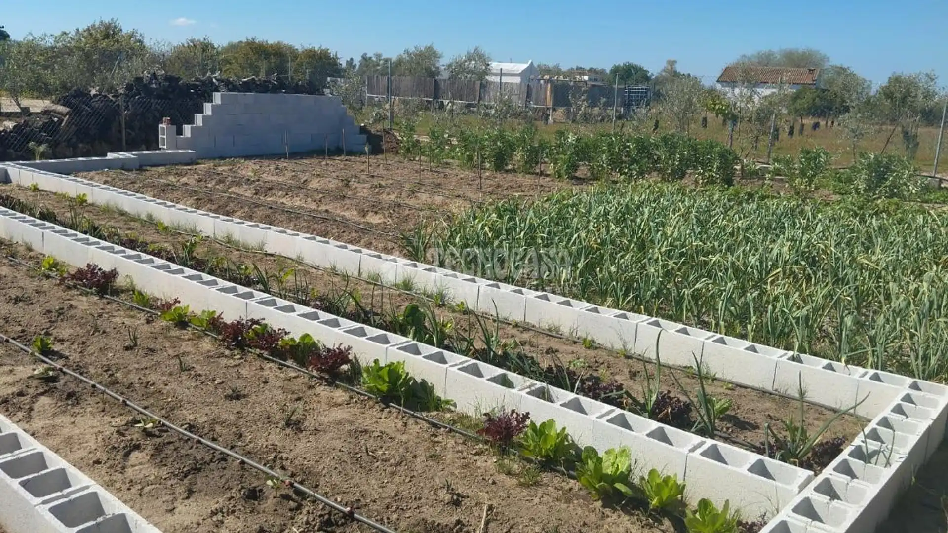 Garden of Country homes for sale in Marchena  with Furnished