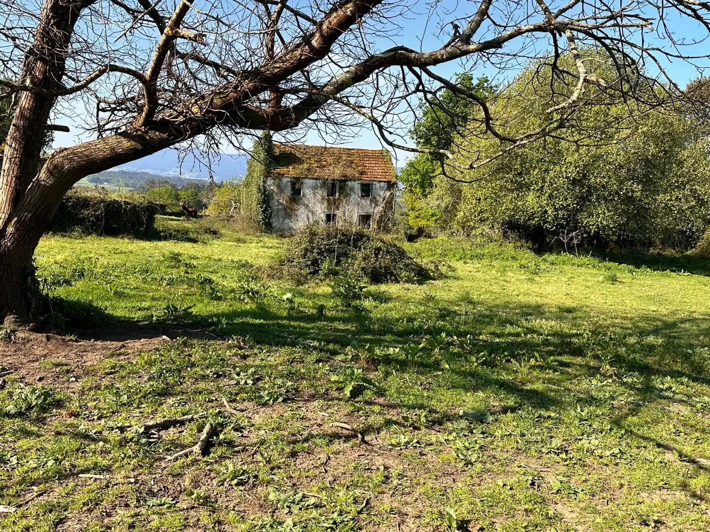 Casa o xalet en venda a Rúa Argimiro González Neira, 7, Vedra