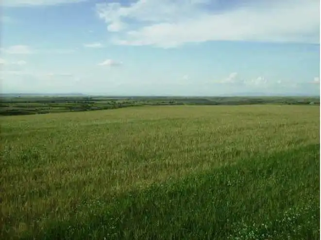 Terreno en venta en Ontiñena
