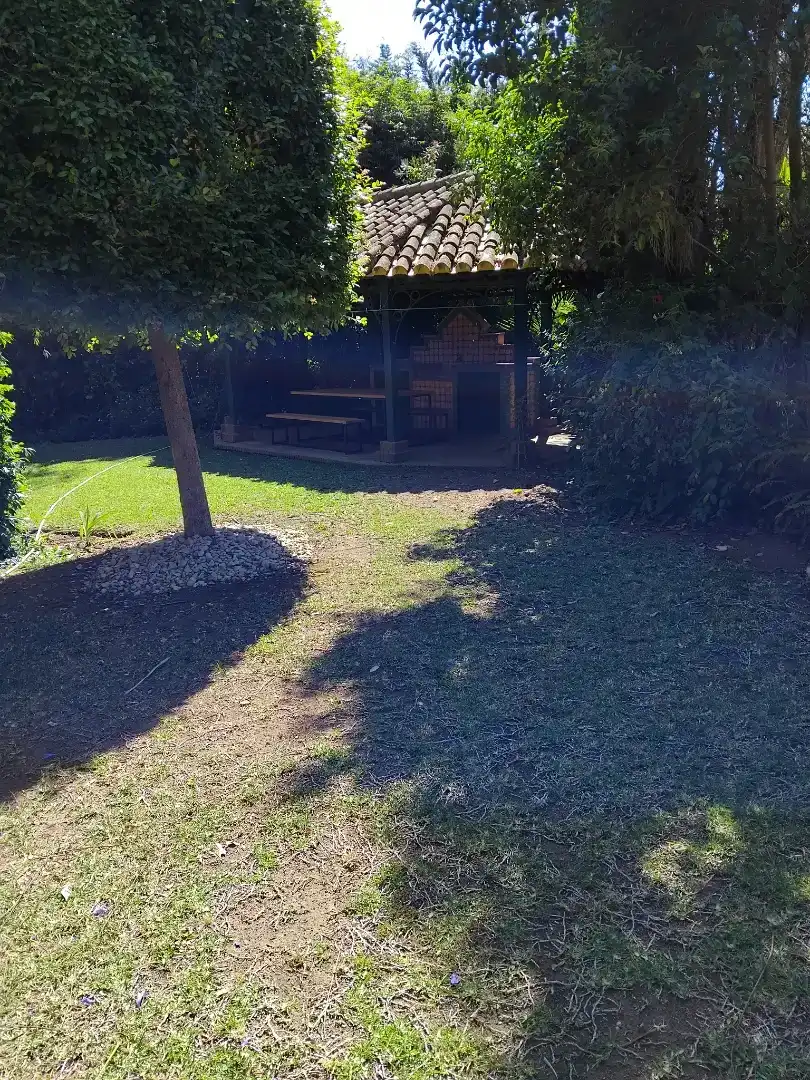 Garden of Houses for rent in Nueva Andalucía