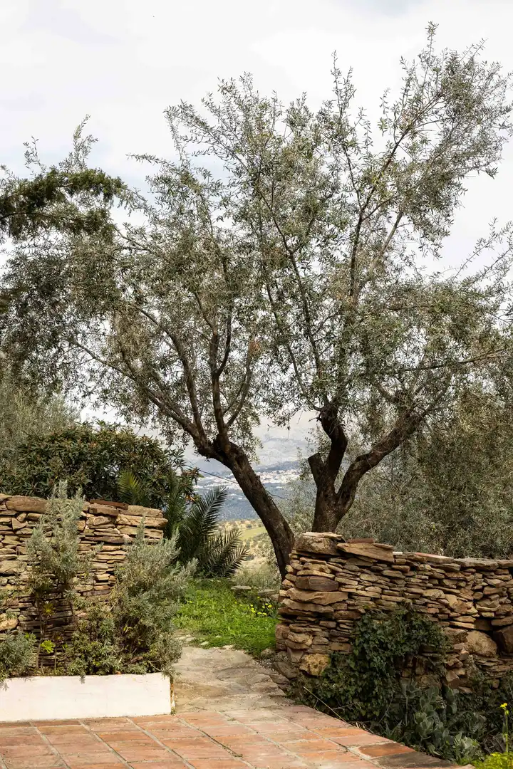 Jardín de Edificio en venta en Viñuela