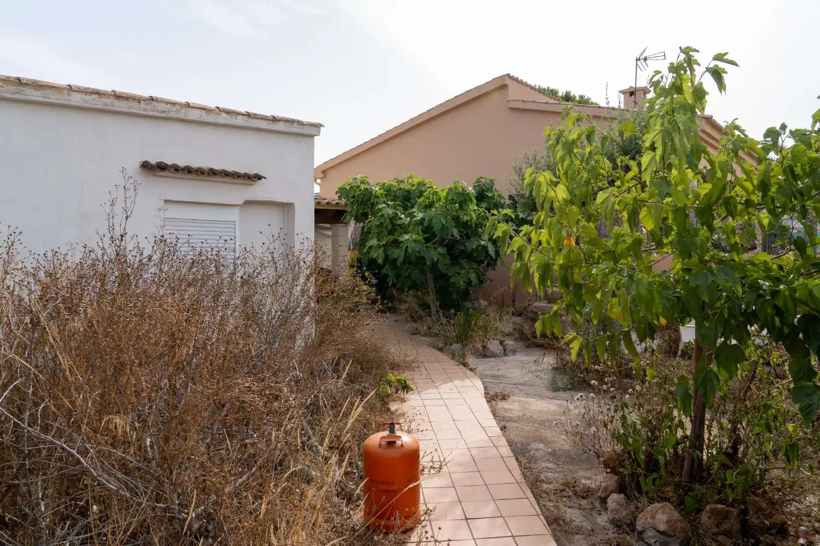Casa o xalet en venda en Campos amb Jardí privat, Terrassa i Moblat