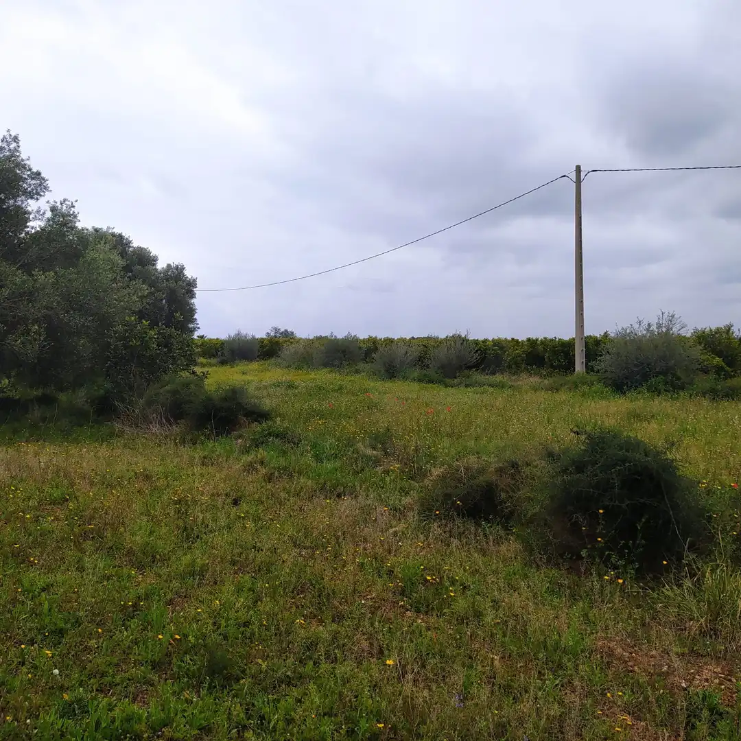 Terrain rustique à vendre à Tivenys, imagen 8