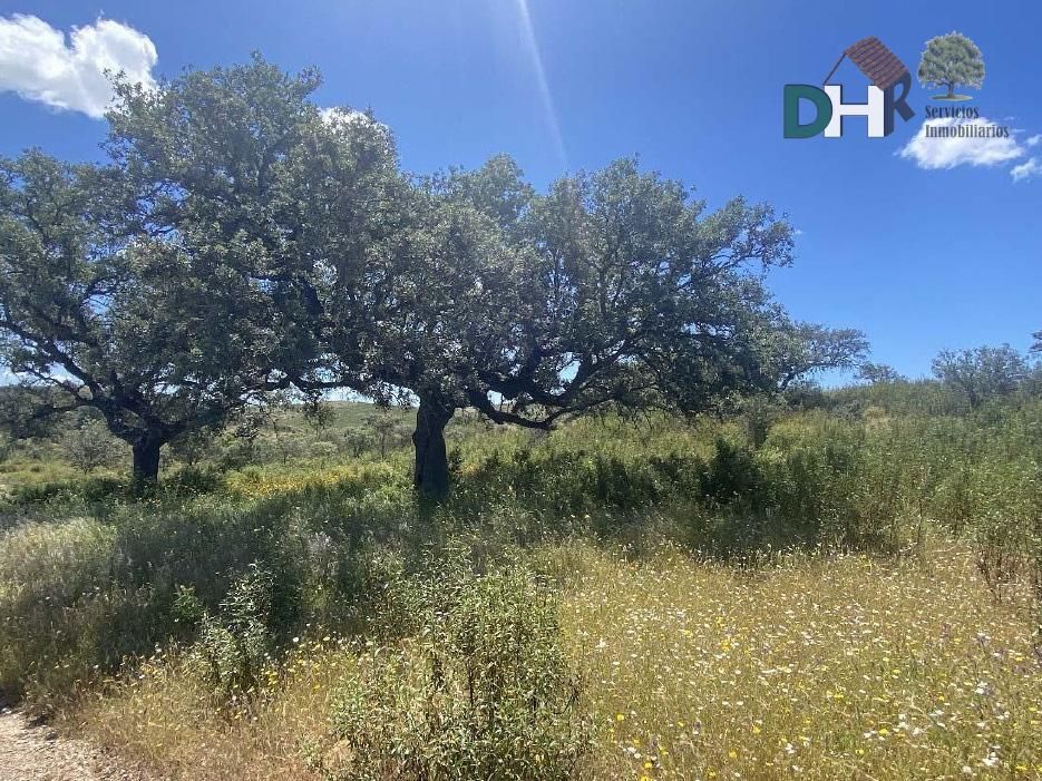 Residential for sale in El Carmen - Cardeñas