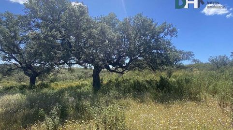 HuelvaTerreno