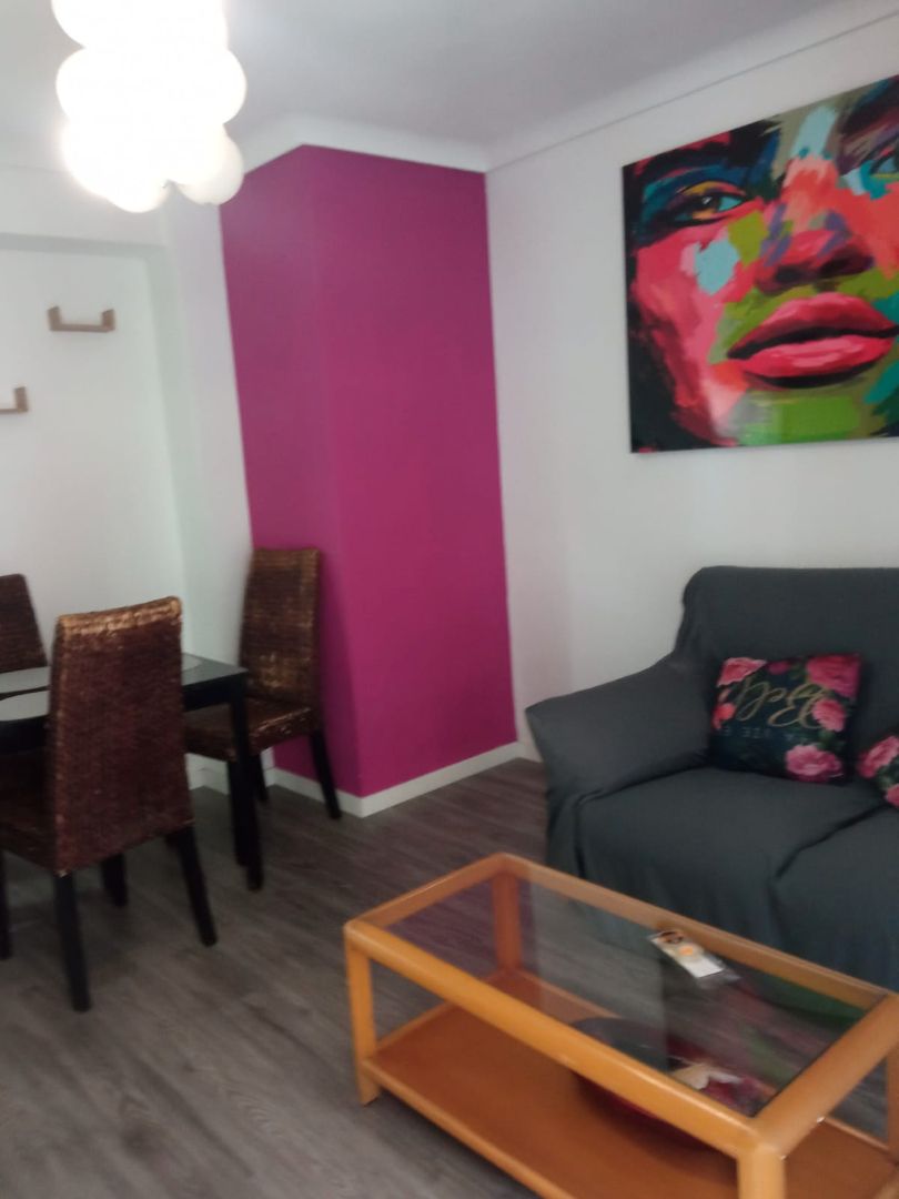 Sala d'estar de Pis de lloguer en  Valencia Capital amb Parquet, Moblat i Forn
