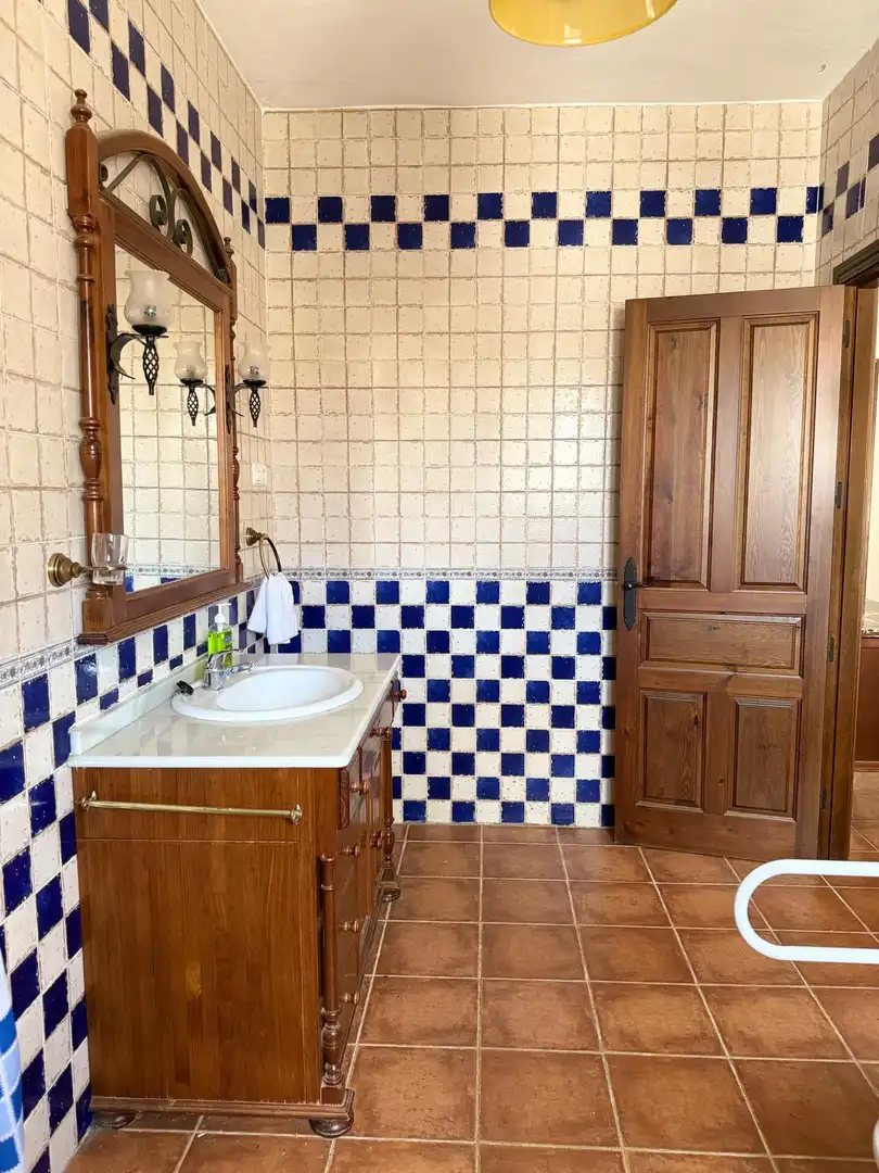 Baño de Finca rústica en venta en Centro