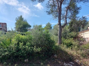 Terreni e lotti in vendita a Canyelles