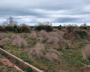 Land for sale in Casas Bajas