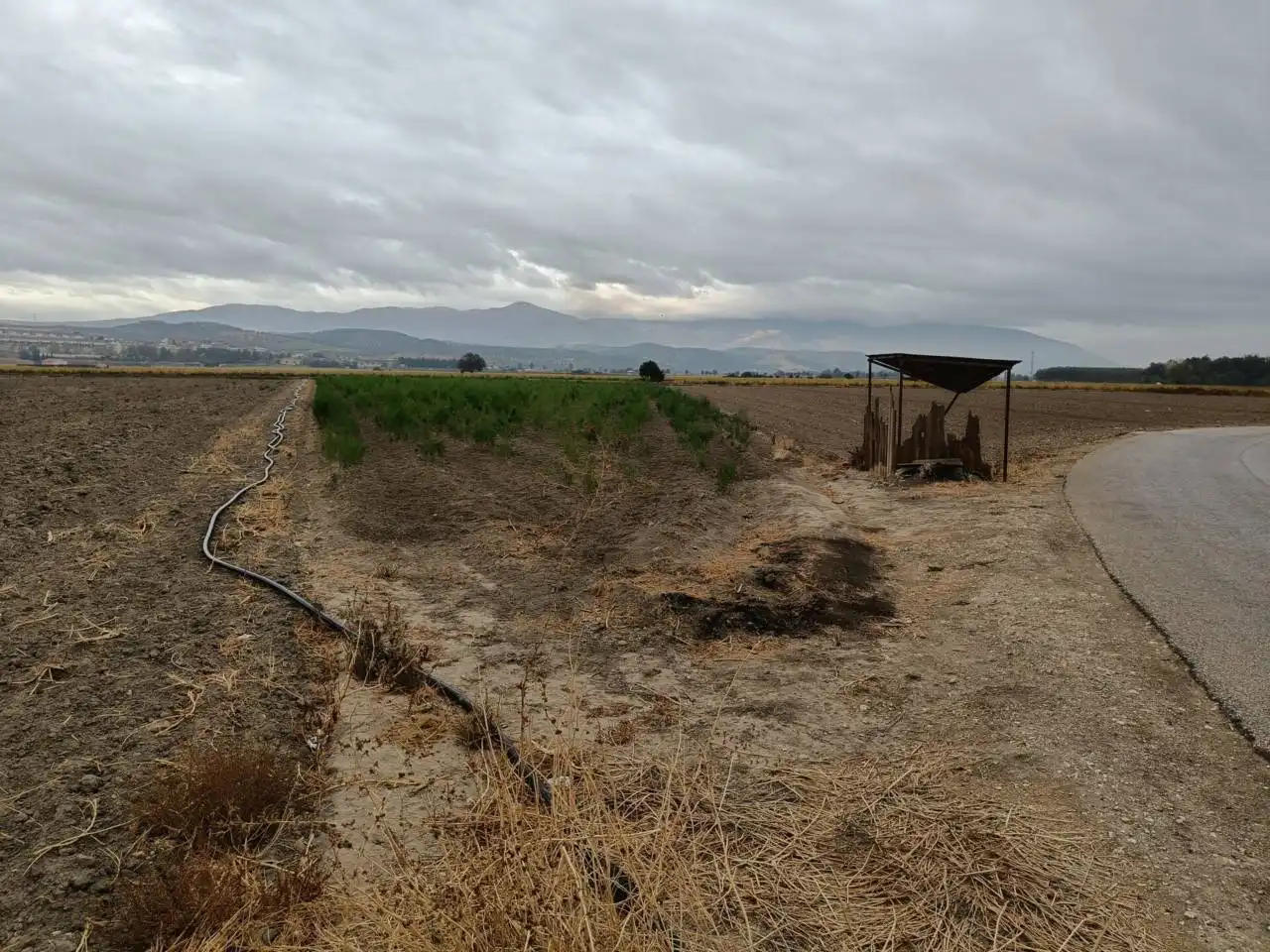 Rural land for sale in Huétor Tájar, imagen 5