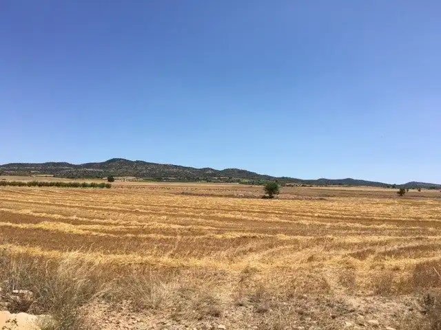 Terreno rustico in vendita a Almansa, imagen 3