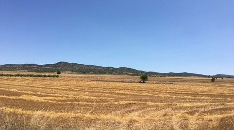 TERRENO POR LA CARRETERA DE AYORA, immagine 3