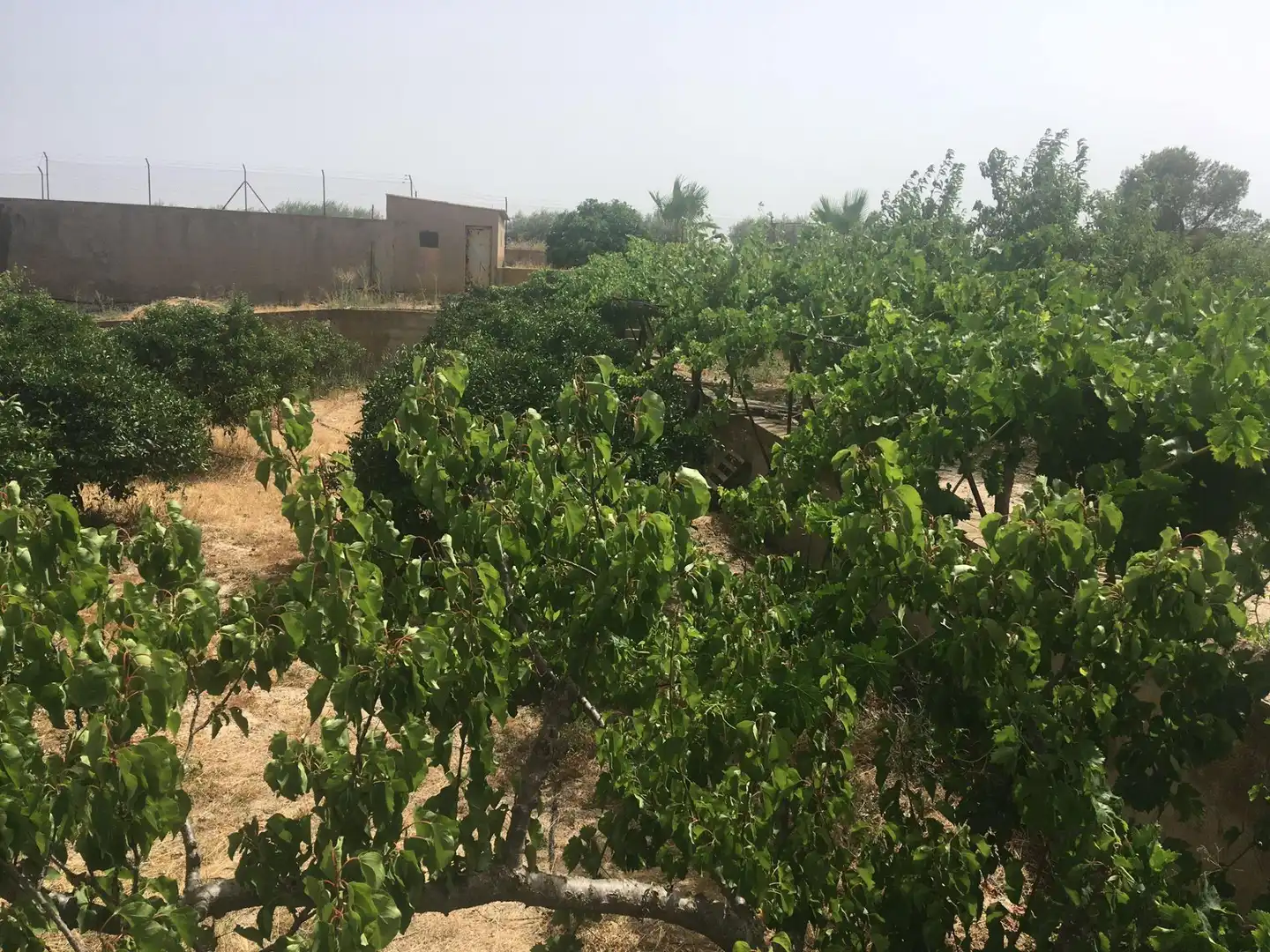 Country house zum Verkauf in Lorca mit Privatgarten und Schwimmbad
