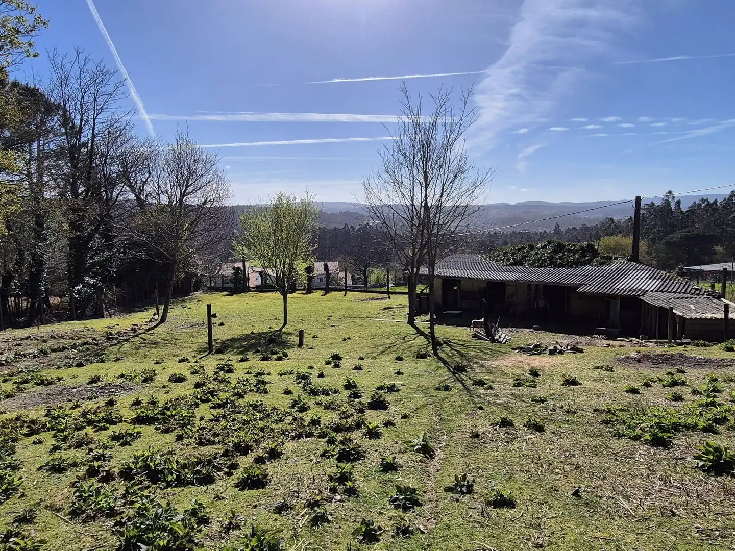 Casa o xalet en venda en Ames amb Jardí privat