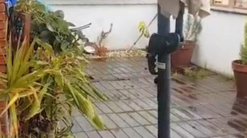 Photo 4 of Flat for sale in Oviedo - Granados, Teatinos - Los Prados, Oviedo