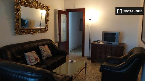 Photo 4 of Apartment to share in Pajaritos, Granada