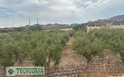 Finca rústica en venda en Mojácar