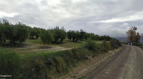 Foto 2 de Terreno en venta en Baena, Córdoba