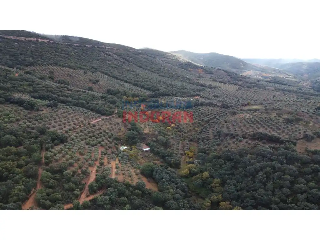 Finca rústica en venda en Castañar de Ibor