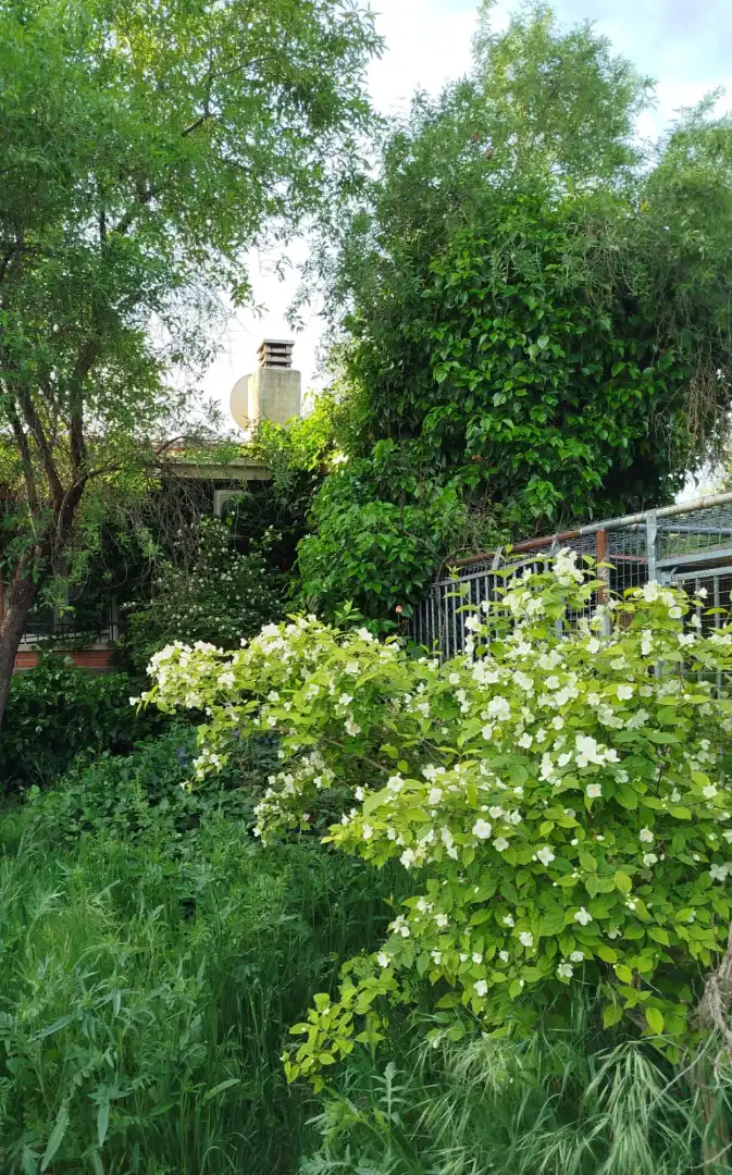 Jardí de Casa o xalet en venda en Fuentidueña de Tajo amb Aire condicionat, Calefacció i Jardí privat