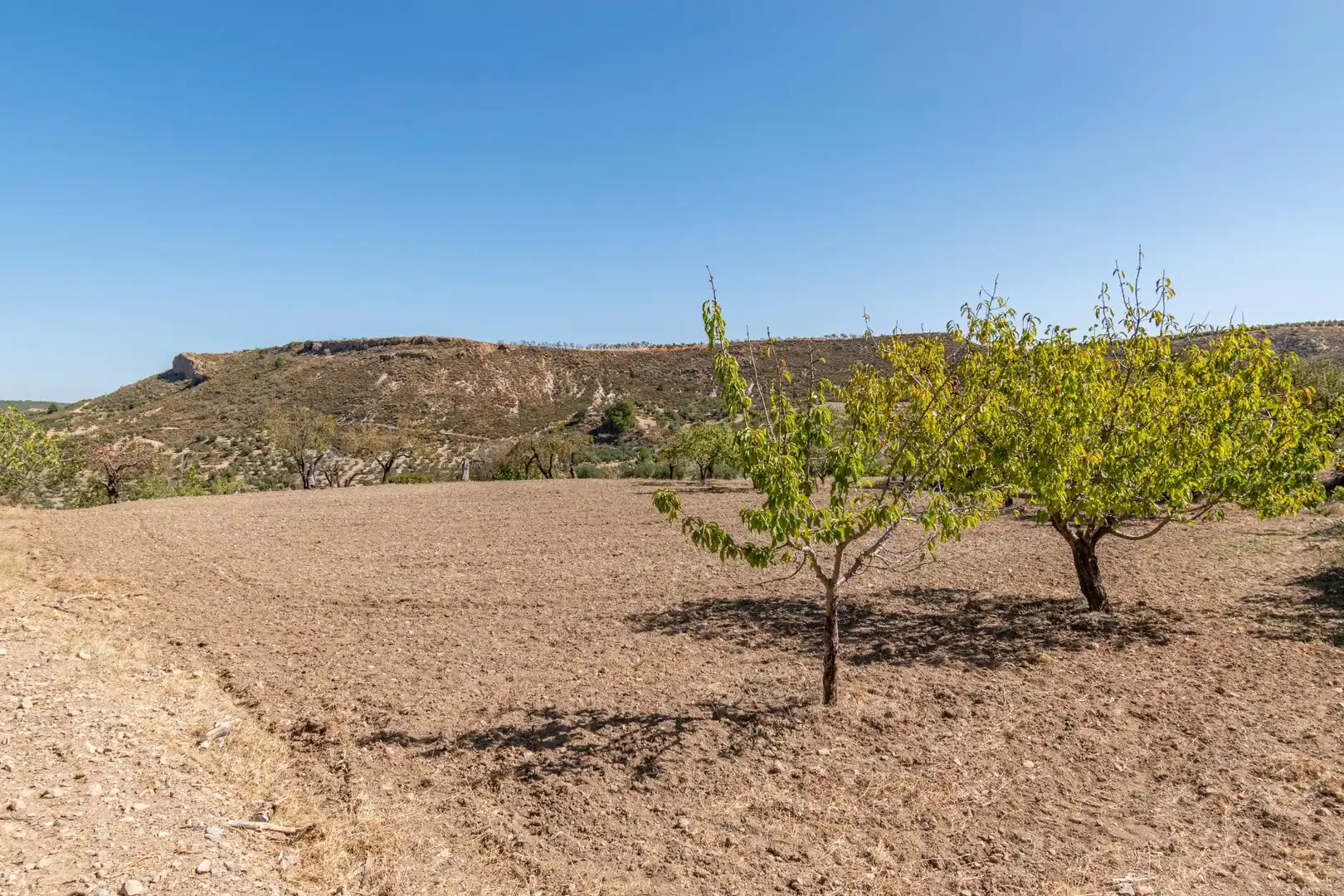 Finca rústica en venta en Vereda morollon, La Peza