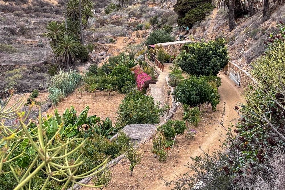 Jardí de Finca rústica en venda en Vallehermoso amb Moblat