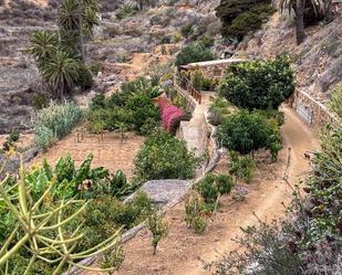 Jardí de Finca rústica en venda en Vallehermoso amb Moblat