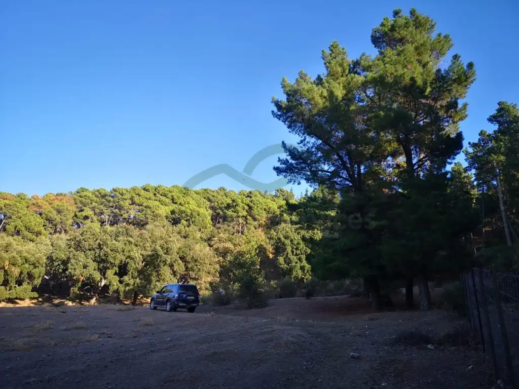 Casa rústica en venda a Gaucín, imagen 14