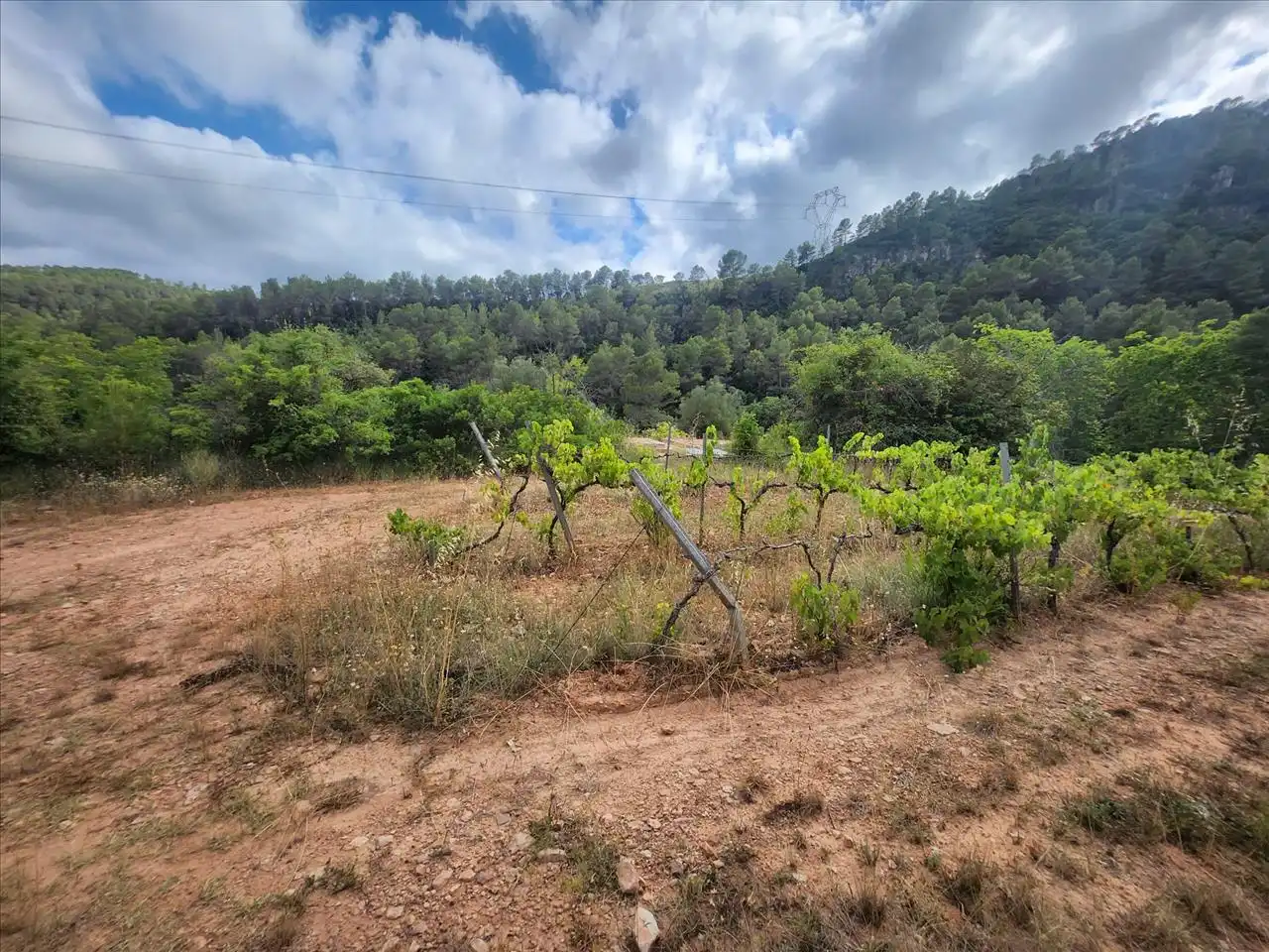 Terreny residencial en venda a Plana de Cal Cendra, imagen 11