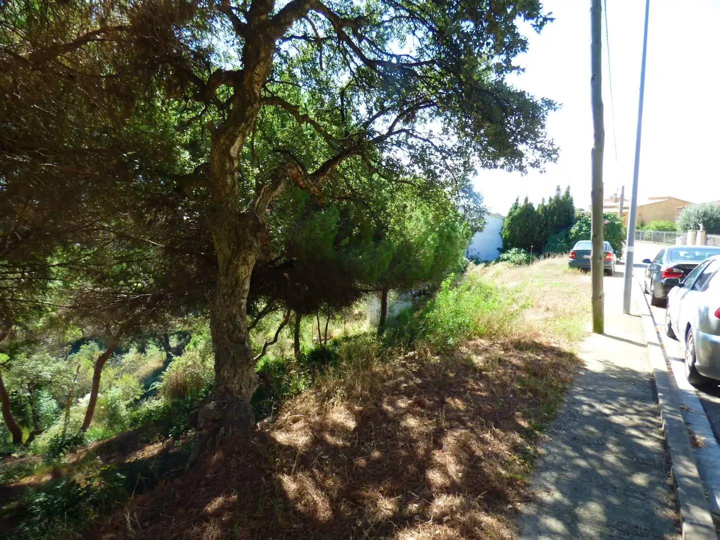Terreno residencial en venta en Lloret Verd - Els Pinars, imagen 3