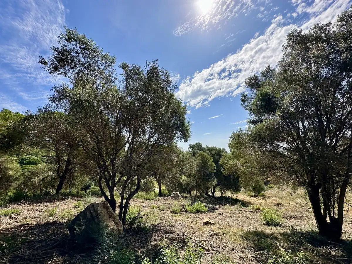 Terreni e lotti in vendita a Lugar Sotogrande 417, imagen 4
