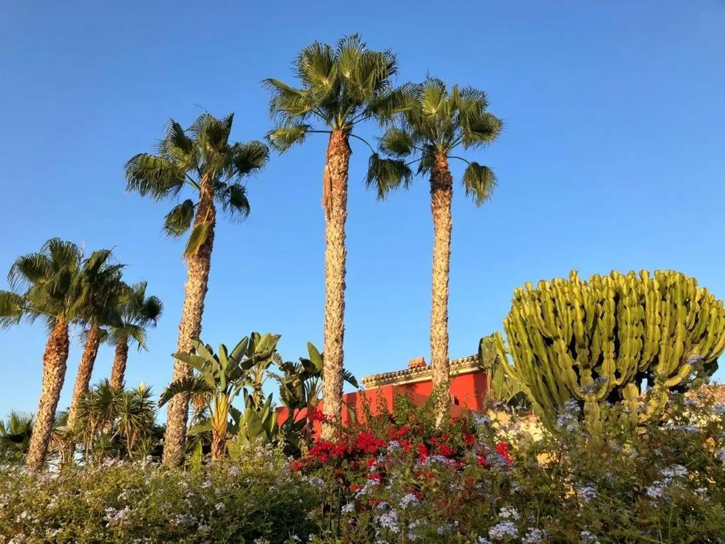 Jardín de Casa o chalet en venta en Cuevas del Almanzora con Aire acondicionado, Calefacción y Jardín privado