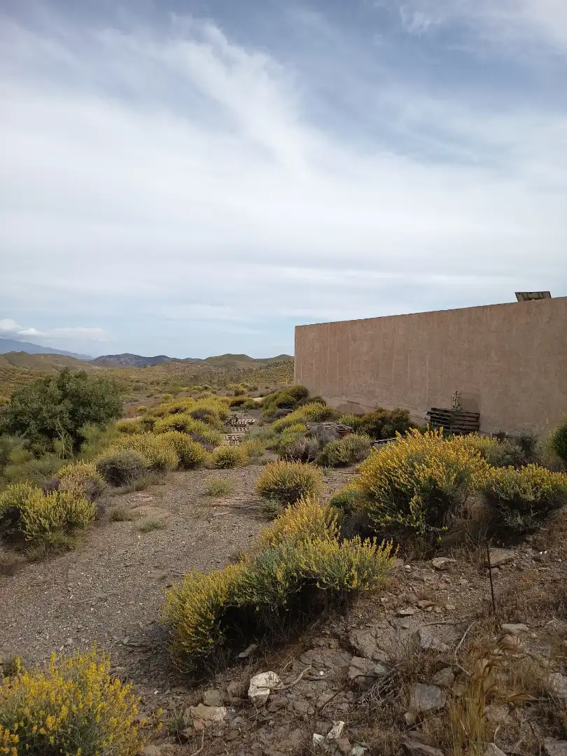 Terreno rustico in vendita a Alboloduy, imagen 29
