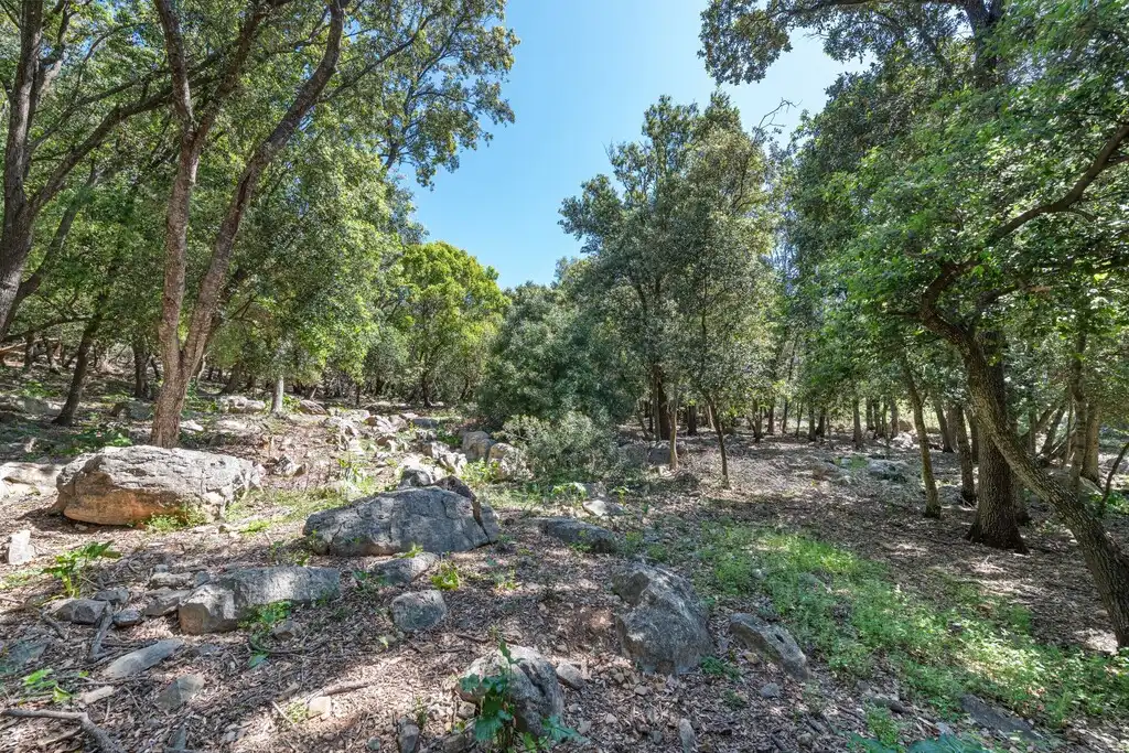 Finca rústica en venda en Pollença amb Terrassa