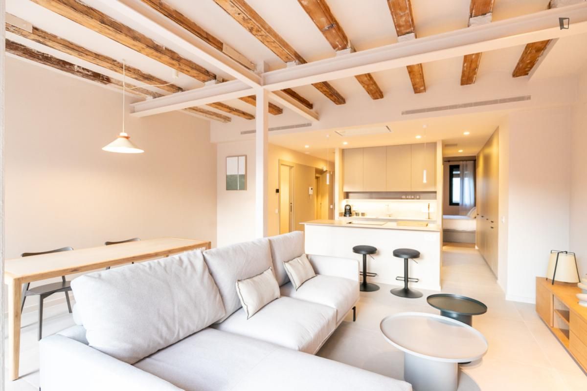 Sala d'estar de Apartament de lloguer en  Barcelona Capital amb Aire condicionat, Moblat i Forn