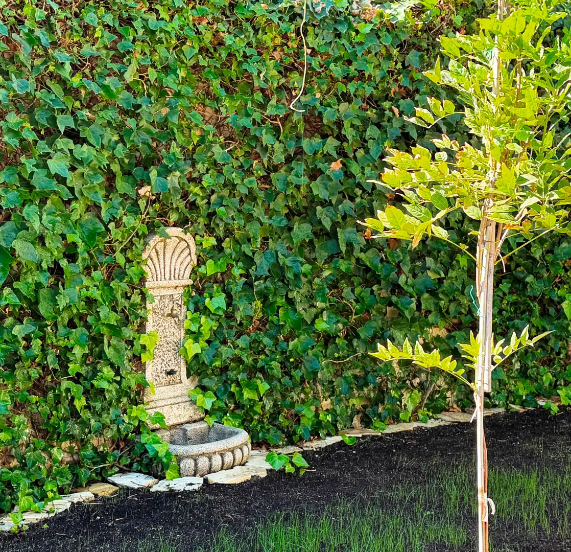 Villa mit Pool zum Verkauf in Calle Vaticano 7, imagen 42