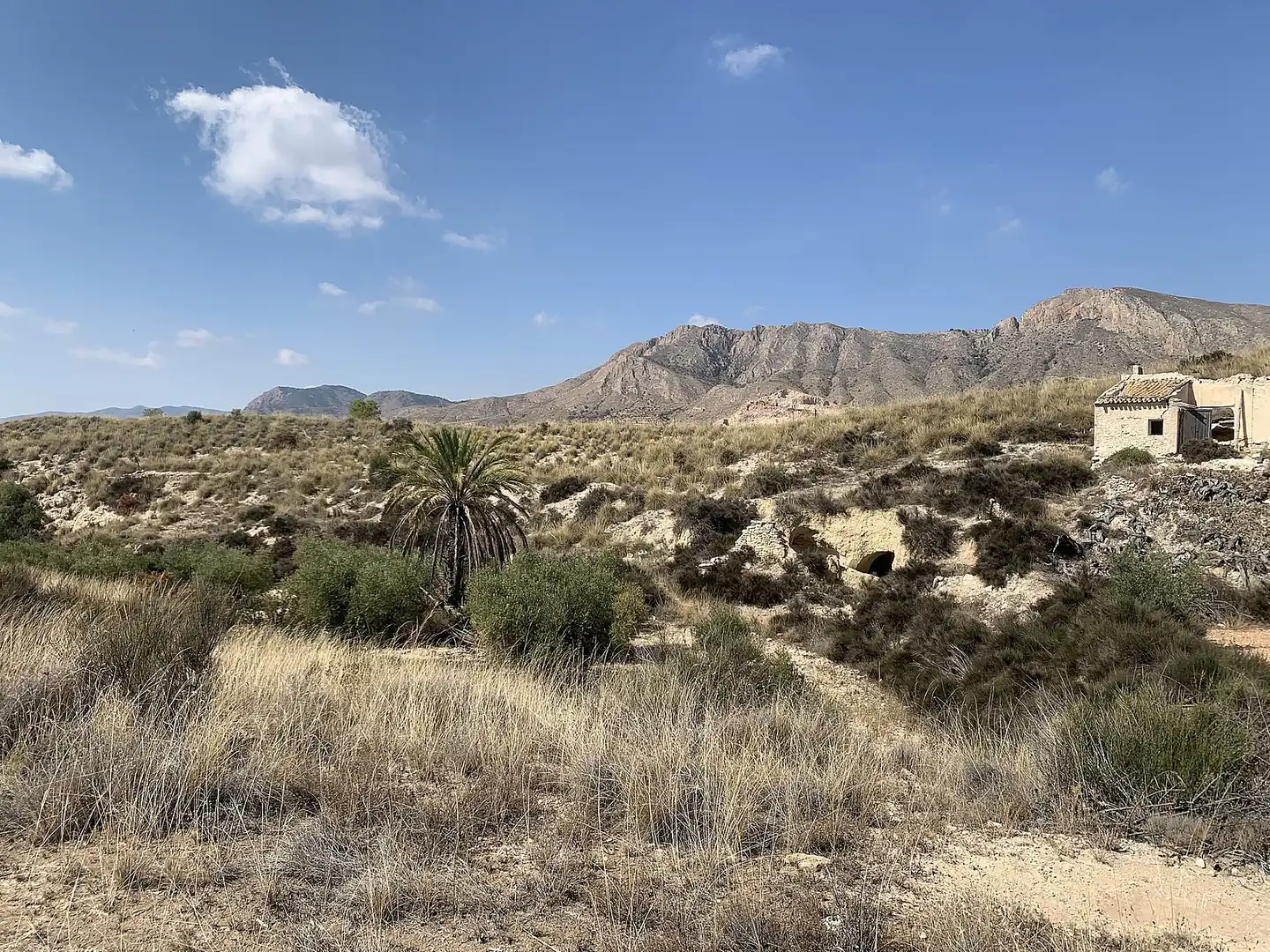 Country homes for sale in Abanilla