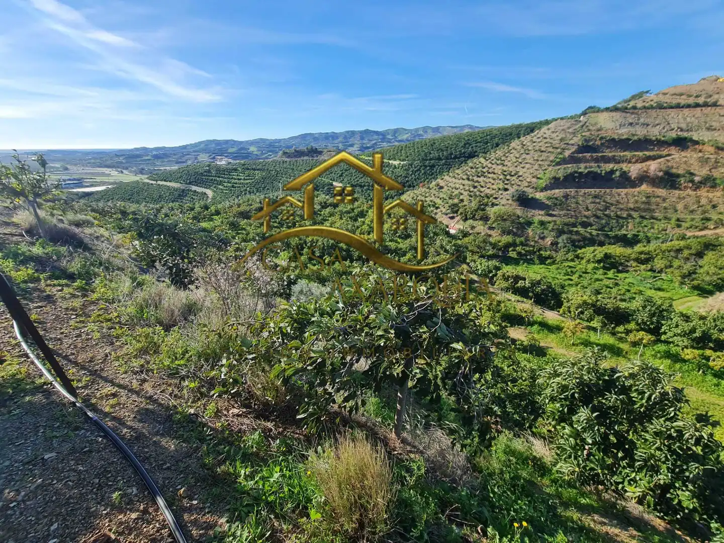 Casa rustica in vendita a Diseminado Atalaya Baja, imagen 47
