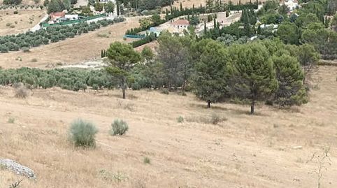 PARCELA EN LAS INMEDIACIONES DEL PUEBLO, POSIBILIDAD DE NAVE AGRÍCOLA, VIVIENDA, immagine 2
