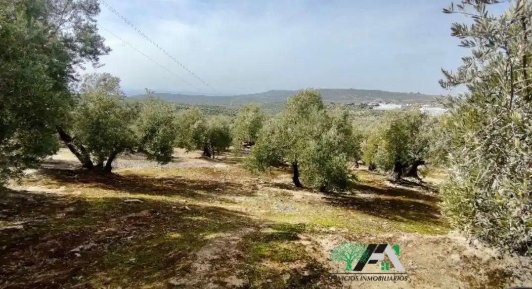 Terrenos y solares en venta en Úbeda, imagen 5