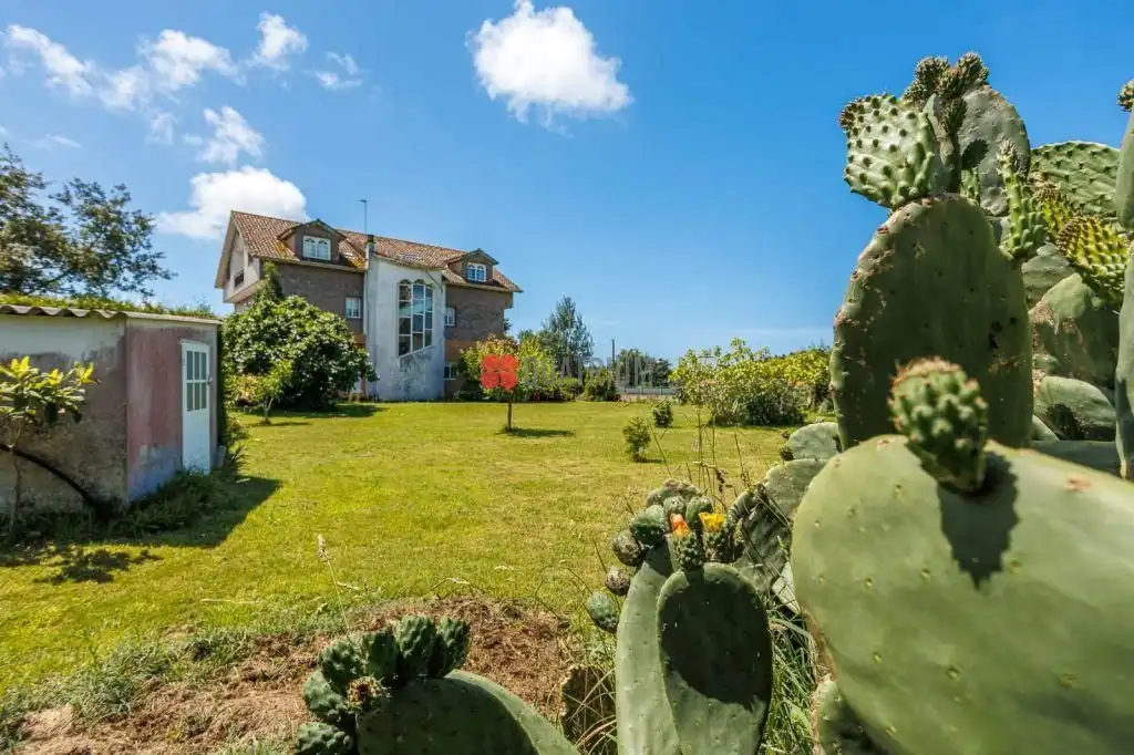 Jardí de Local en venda en Ribeira amb Moblat